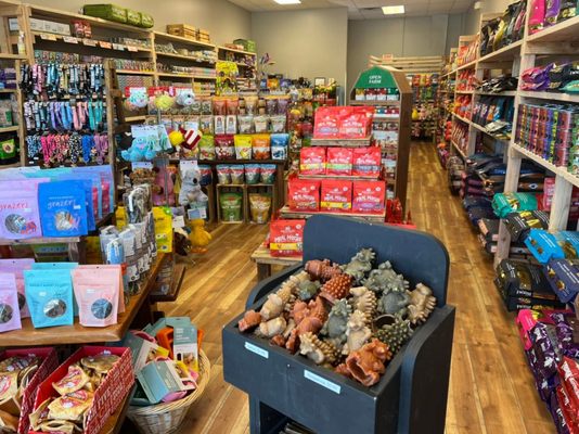 We Carry Only All Natural Pet Food, Treats and Supplies! - Thank you for checking us out! We are a husband and wife independently owned and operated pet food and supply store. Muttz & Meowz is dedicated to keeping your ”Best Friend” happy and healthy. We carry only All Natural pet food, treats and supplies.  Our Love for all animals is the reason Muttz & Meowz came to be!