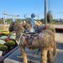 Photo of Green Acres Farm Market