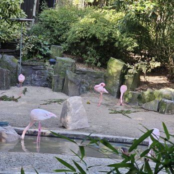 Oregon Zoo - Zoos Near Me - Portland, Oregon