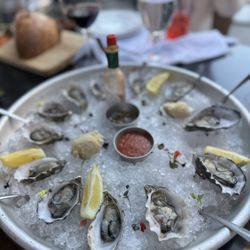 Oysters