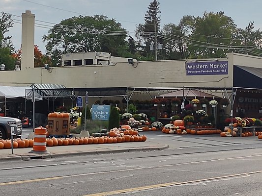 Western Market by null