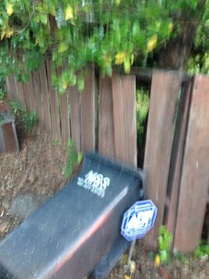 Marin Sanitary Service by null