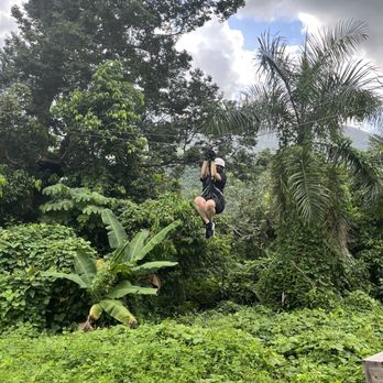 Yunque Ziplining - Hiking Near Me - Luquillo, Puerto Rico Yunque Ziplining - Hiking Near Me - Luquillo, Puerto Rico