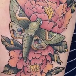 Moth and peonies by Reid