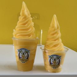 Pineapple Whips - Plain (Pineapple) Float & Plain (Pineapple) Whip Cup