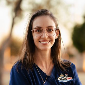 Valet Vet Mobile Veterinary Services - Veterinarians Near Me - Phoenix, Arizona Valet Vet Mobile Veterinary Services - Veterinarians Near Me - Phoenix, Arizona