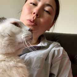 Tales of the Kitty