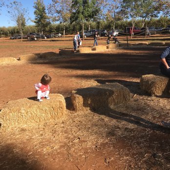 Boa Vista Orchards - Empty pumpkin patch - Fruits & Veggies Near Me - Placerville, California