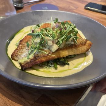 JUNO & THE PEACOCK - Updated March 2025 - 277 Photos & 111 Reviews - 400 Beach Dr NE, St