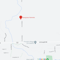 Sawgrass Kennels - This is the actual location. Yahoo has the wrong location on their maps.
