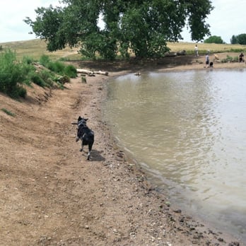 Westminster Dog Park - Dog Parks Near Me - Westminster, Colorado Westminster Dog Park - Dog Parks Near Me - Westminster, Colorado