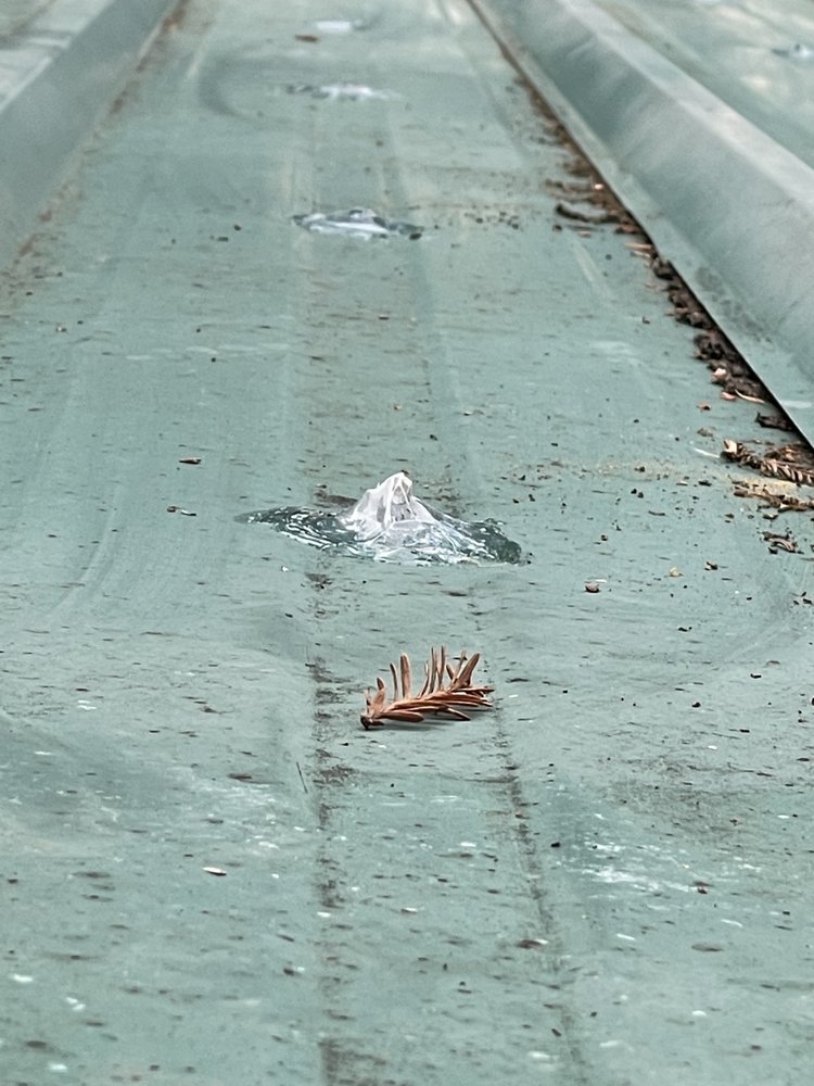 Slide of Shelton Roofing