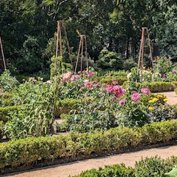Real Jardín Botánico - Seasonal gardens - Botanical Gardens Near Me - Madrid, M