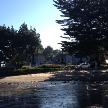 Dancing Coyote Beach Cottages - super low tide at dancing coytote beach. - Bed & Breakfast Near Me - Inverness, California Dancing Coyote Beach Cottages - super low tide at dancing coytote beach. - Bed & Breakfast Near Me - Inverness, California