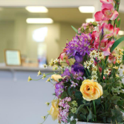 Associates in Women's Health - Associates in Women's Health