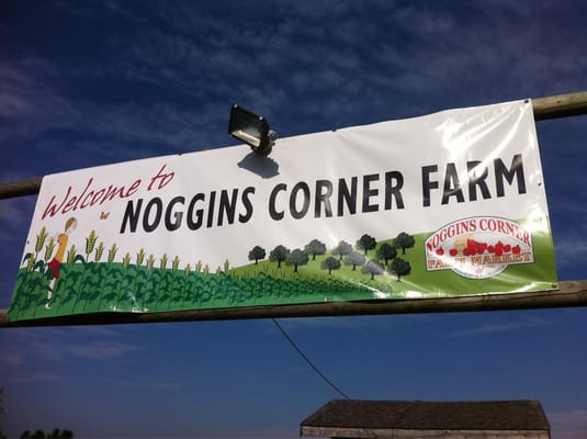 Noggins Corner Farm Farmers Market 10009 Hwy 1 Greenwich Ns Phone Number