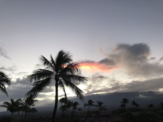 Menehune Shores Condominium by null