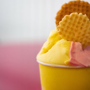 Pompelmo Gelateria - a waffle and a wafer - Gelato Near Me - Westerly, Rhode Island Pompelmo Gelateria - a waffle and a wafer - Gelato Near Me - Westerly, Rhode Island
