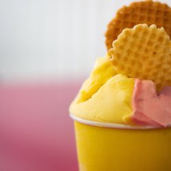 Pompelmo Gelateria