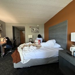 One of the two beds. One of the two beds.
