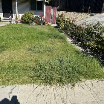 Erick’s Landscaping - Before - Landscaping Near Me