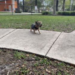 Joseph Scavo Park - When she's happy, I'm happy.