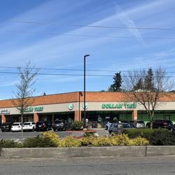 Dollar Tree - Street View