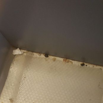 House Cleaning Specialists - Cupboards not cleaned out. - Home Cleaning Near Me