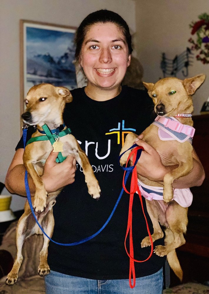 BROADWAY VET HOSPITAL 101 Photos & 202 Reviews 1632 Broadway