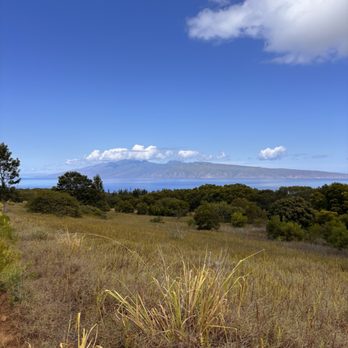 Ironwood Ranch - Horseback Riding Near Me - Lahaina, Hawaii