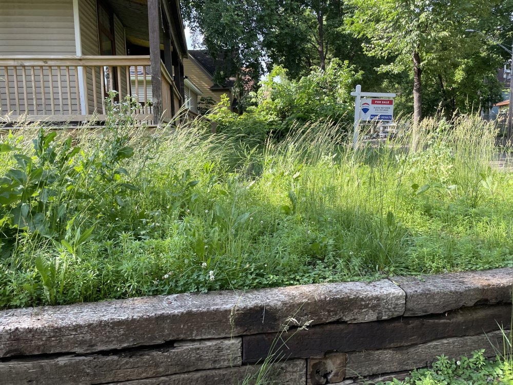 Cj’s Lawn Service - tree service in Minneapolis, MN