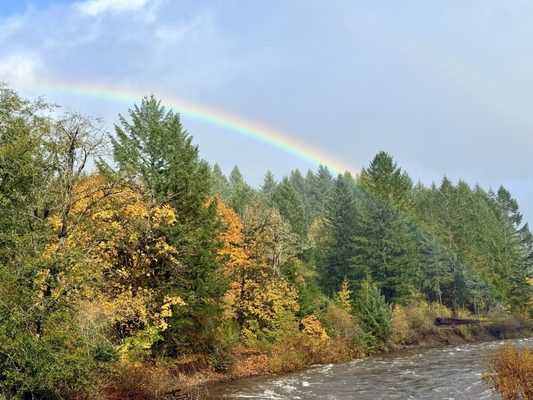 Tillamook Forest Center by null