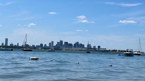 Spectacle Island by null