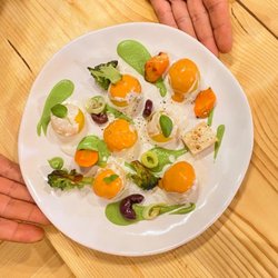OlisticHouse Vegan