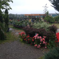 Tooele Valley Nursery