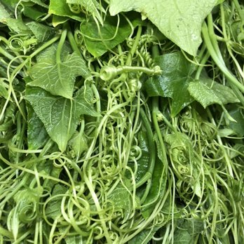 Asian Bazaar - Chayote leaves - International Grocery Near Me - Louisville, Kentucky Asian Bazaar - Chayote leaves - International Grocery Near Me - Louisville, Kentucky