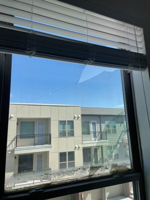 Central Glass Solutions