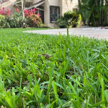 MAK Landscaping - Unevenly cut grass - Lawn Services Near Me