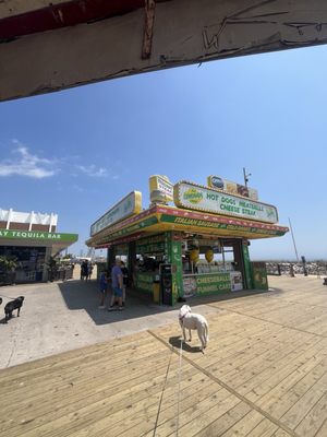 Midway Steak House by null