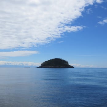 Deception Pass Tours - Whale Watching Tours Near Me - Anacortes, Washington Deception Pass Tours - Whale Watching Tours Near Me - Anacortes, Washington