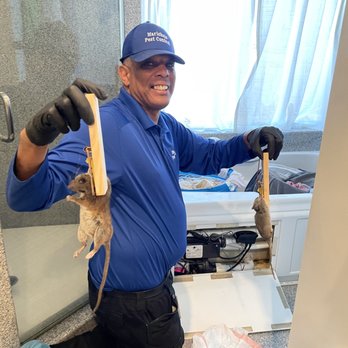 Marichals Pest Control - Pest Control Near Me - Alameda, California Marichals Pest Control - Pest Control Near Me - Alameda, California