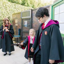 The Pure Imagination Party Company - Wand presentation