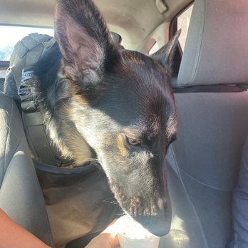 Java Hut - My doggo approves of the pup pup. - Coffee & Tea Near Me - Lake Elsinore, California Java Hut - My doggo approves of the pup pup. - Coffee & Tea Near Me - Lake Elsinore, California