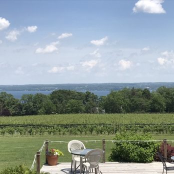 Buttonwood Grove Winery - Wineries Near Me - Romulus, New York