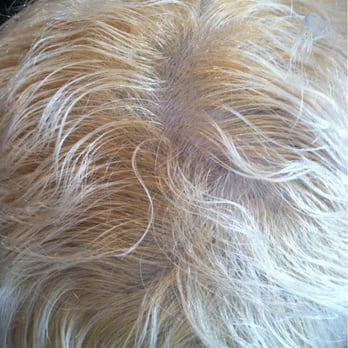 Mariemarie Salon - The roots are yellow and the tips are white. The stylist I went to to get it fixed had to start over to correct it. - Hair Salons Near Me - Atlanta, Georgia Mariemarie Salon - The roots are yellow and the tips are white. The stylist I went to to get it fixed had to start over to correct it. - Hair Salons Near Me - Atlanta, Georgia