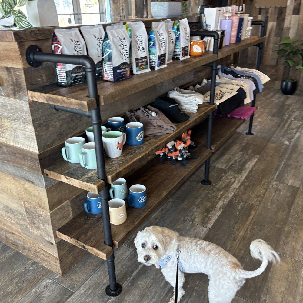 Foxtail Coffee - Inside - Coffee & Tea Near Me - Kissimmee, Florida