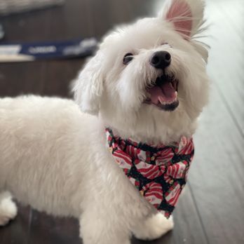 Reasons to Wag - Pet Groomers Near Me - Chula Vista, California Reasons to Wag - Pet Groomers Near Me - Chula Vista, California