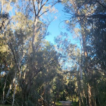 Coronado Butterfly Preserve - Parks Near Me - Goleta, California Coronado Butterfly Preserve - Parks Near Me - Goleta, California