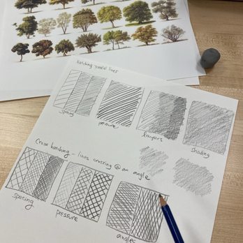 Millbrae Library - Drawing - Libraries Near Me - Millbrae, California