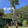 Photo of Vincent Treeworks